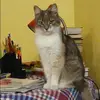 Отзыв от Майя Тихонова